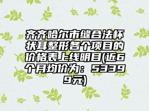 齐齐哈尔市缝合法杯状耳整形各个项目的价格表上线明目(近6个月均价为：53399元)